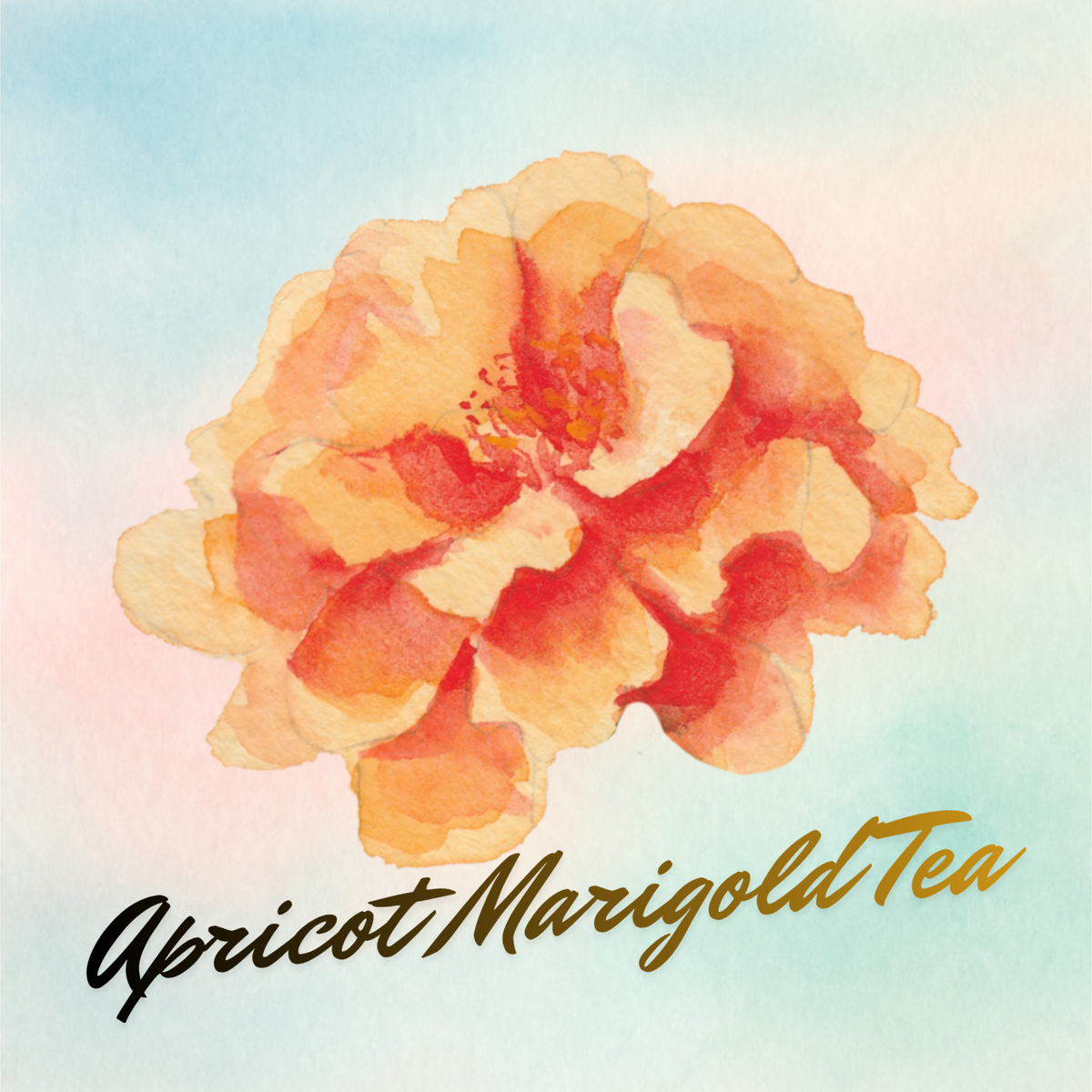 Apricot Marigold GOOD GLOW tea