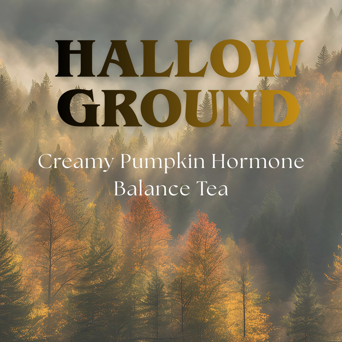 Hallow Ground Creamy Pumpkin Hormone Balance Tea