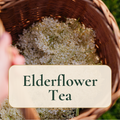 Elderflower Ritual Tea